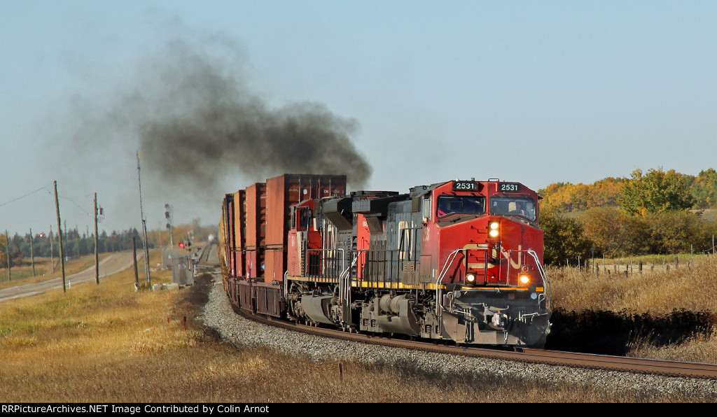 CN 2531